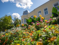 Sveikinimas senjorams