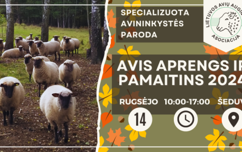 Avis-aprengs-ir-pamaitins-2024-FB-renginio-virselis.png