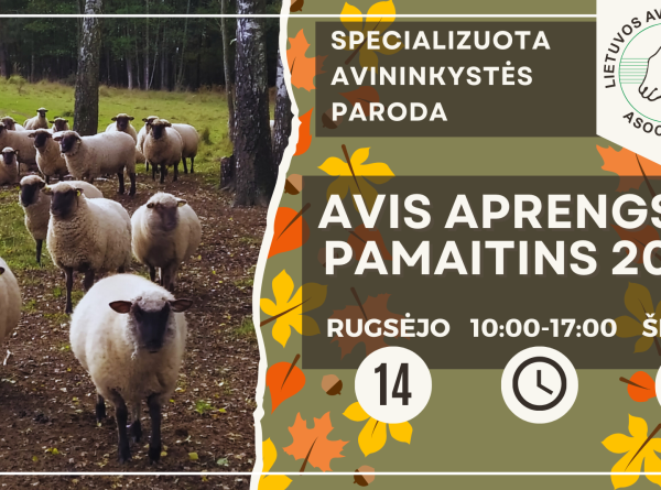 Avis-aprengs-ir-pamaitins-2024-FB-renginio-virselis.png