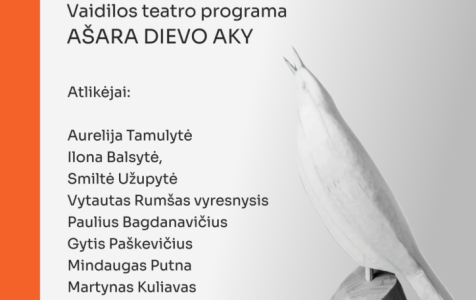 PLAKATAS-A3-PRINT-MARCINKEVICIUS-PAUKSTIS-new.pdf-724x1024.png
