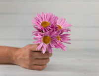 hand-holding-purple-flowers.jpg