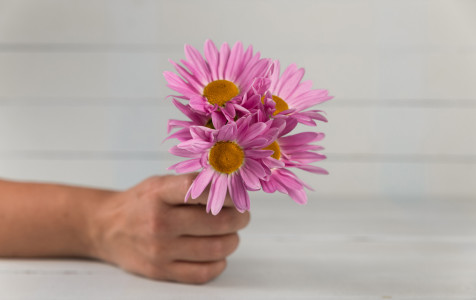 hand-holding-purple-flowers.jpg
