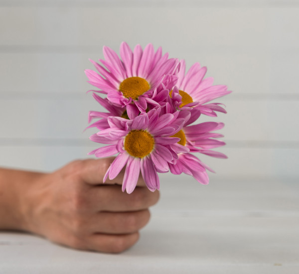 hand-holding-purple-flowers.jpg