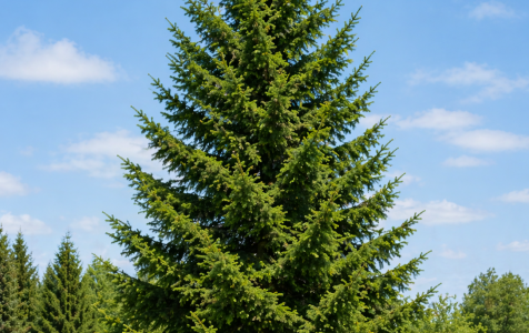 ChatGPT Image 2026-04-24 12_42_15.png