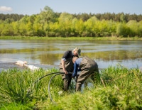 Į Nemuną išpiltas biologinis preparatas upinių mašalų lervoms naikinti