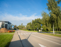 DSC07376.jpg