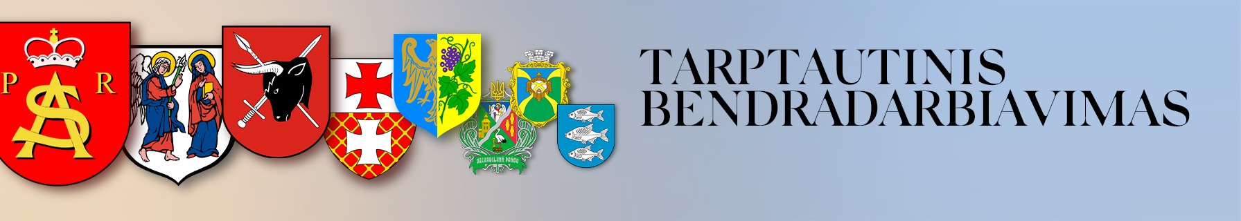 Tarptautinis bendradarbiavimas 1.3.png